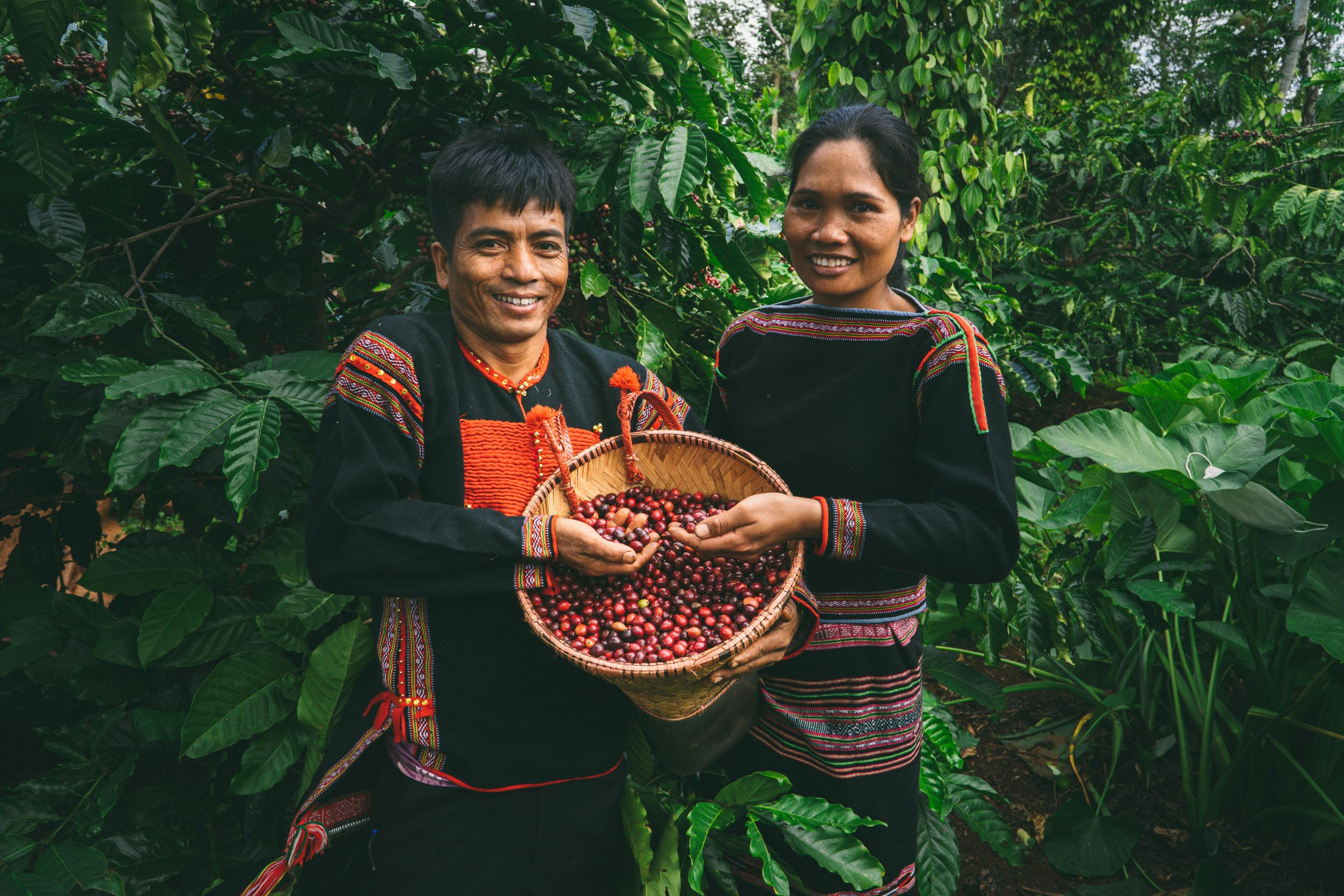 The Journey of Coffee